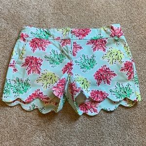Crown & Ivy shorts